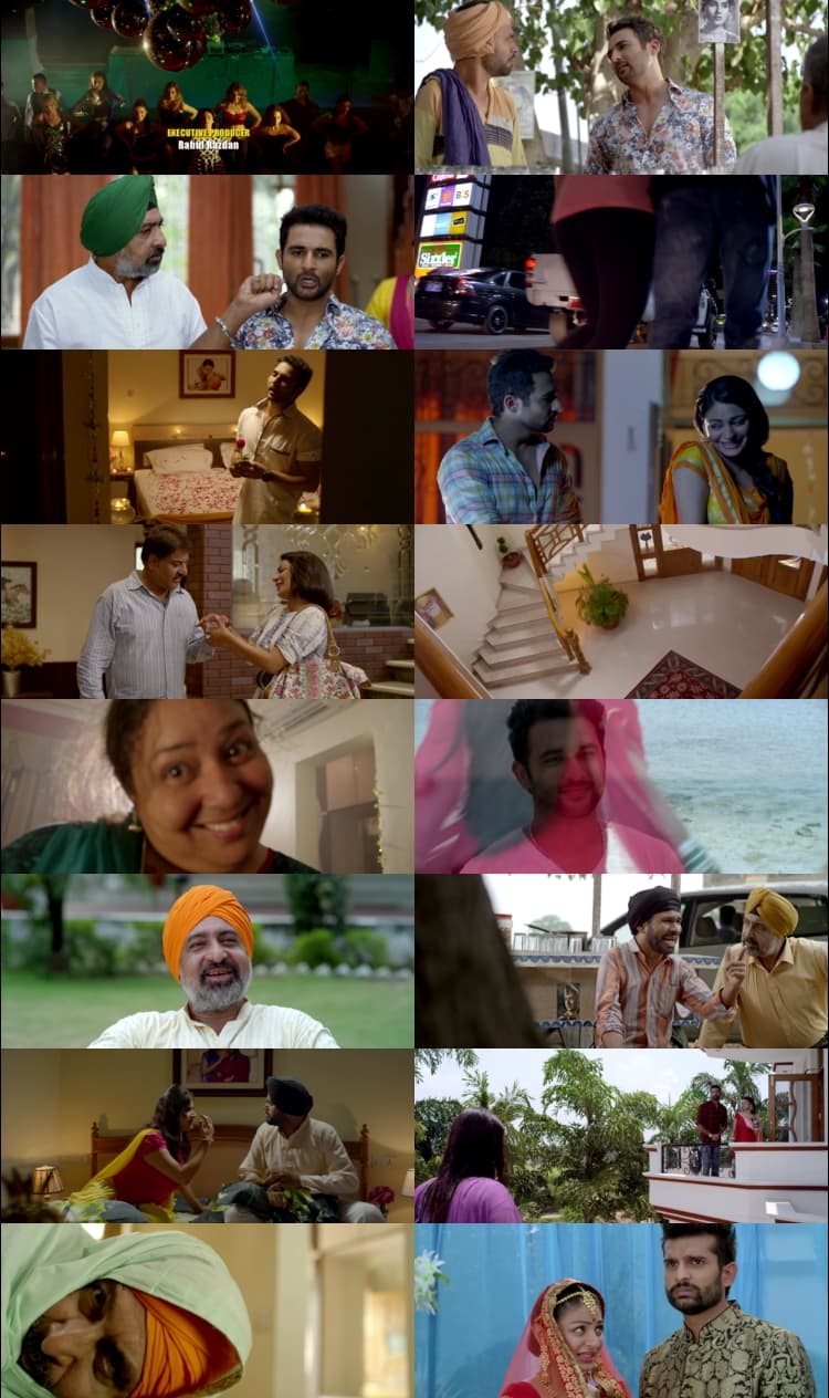 Proper Patola (2014) 1080p | 720p | 480p WEB-HDRip [Punjabi]