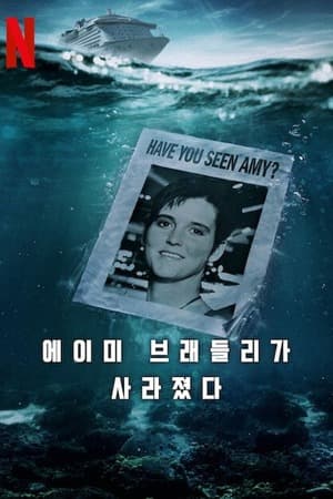Amy Bradley Is Missing – Season 1 (2025) WEB-HDRip [EP 1 to 3] [Hindi (DDP5.1) + Dual Audio]