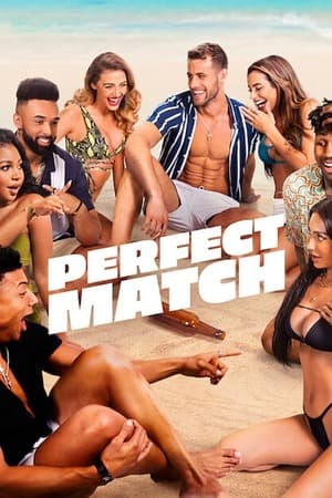 Perfect Match – Season 3 (2025) WEB-HDRip [EP 1 to 6] [Hindi (DDP5.1) + Dual Audio]