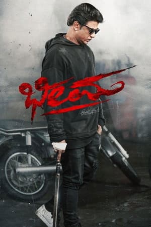 Bheema (2024) UnCut 1080p | 720p | 480p WEB-HDRip [Hindi (ORG) + Kannada (DD2.0)]