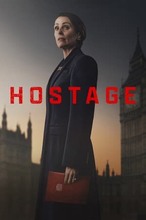 Hostage – Season 1 (2025) WEB-HDRip [EP 1 to 5] [Hindi (DDP5.1) + Dual Audio]
