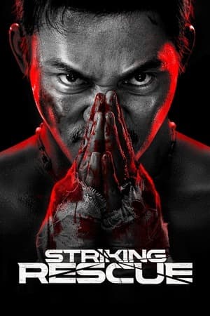 Striking Rescue (2024) 1080p | 720p | 480p BluRay [Hindi ORG + Multi Audio (DD2.0)]