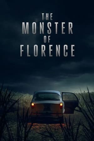 The Monster of Florence – Season 1 (2025) WEB-HDRip [EP 1 to 4] [Hindi (DDP5.1) + Dual Audio]