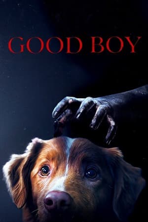 Good Boy (2025) 1080p | 720p | 480p WEB-HDRip [English (DD5.1)]