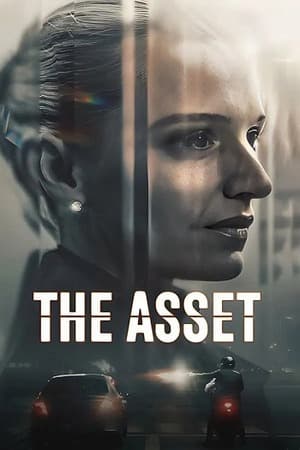 The Asset – Season 1 (2025) WEB-HDRip [EP 1 to 6] [Hindi (DDP5.1) + Dual Audio]
