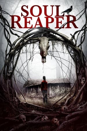 Soul Reaper (2019) 1080p | 720p | 480p WEB-HDRip [English (DD5.1)]