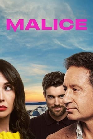 Malice – Season 1 (2025) WEB-HDRip [EP 1 to 6] [Hindi (DDP5.1) + Dual Audio]