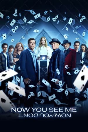 Now You See Me Now You Don’t (2025) v2 1080p | 720p | 480p HDTC [English (DD5.1)]