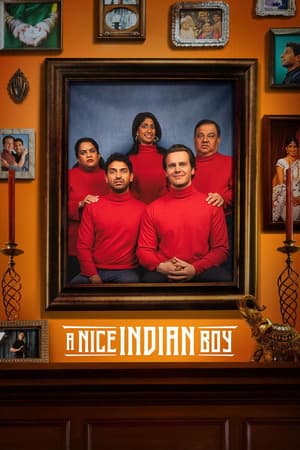 A Nice Boy (2025) 1080p | 720p | 480p WEB-HDRip [Hindi ORG + Multi Audio (DD5.1)]