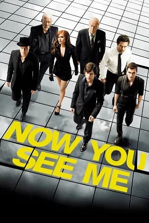 Now You See Me (2013) 1080p | 720p | 480p BluRay [Hindi + English (DD5.1)]