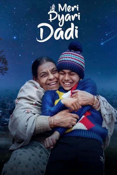 Meri Pyari Dadi (2025) 1080p | 720p | 480p WEB-HDRip [Punjabi (DD5.1)]