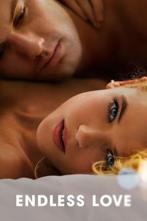 Endless Love (2014) 1080p | 720p | 480p BluRay [Hindi + English (DD5.1)]