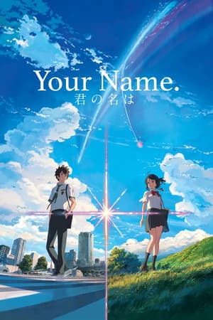 Your Name (2016) 1080p | 720p | 480p BluRay [Hindi ORG + Multi Audio (DD2.0)]