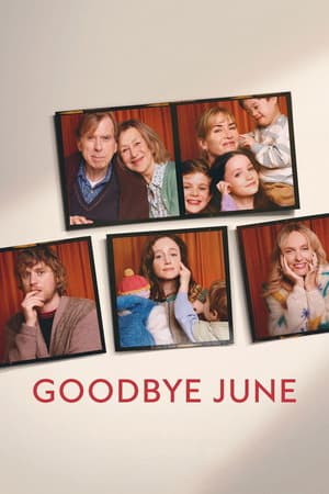 Goodbye June (2025) 1080p | 720p | 480p WEB-HDRip [Hindi ORG + Multi Audio (DD5.1)]