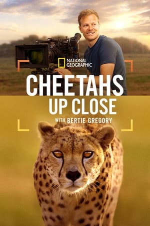 Cheetahs Up Close with Bertie Gregory (2026) 1080p | 720p | 480p WEB-HDRip [English (DD5.1)]