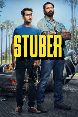 Stuber (2019) 1080p | 720p | 480p BluRay [Hindi + English (DD5.1)]