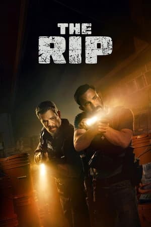 The Rip (2026) 1080p | 720p | 480p WEB-HDRip [Hindi ORG + Multi Audio (DD5.1)]
