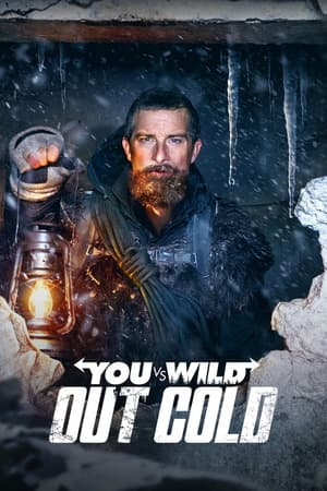 You Vs Wild Out Cold (2021) 1080p | 720p | 480p WEB-HDRip [Hindi + English (DD5.1)]