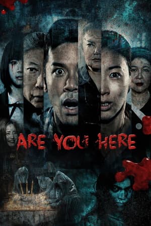 Are You Here (2015) 1080p | 720p | 480p BluRay [Hindi + Chinese (DD5.1)]
