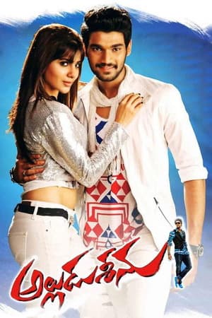 Alludu Seenu (2014) 1080p | 720p | 480p WEB-HDRip [Hindi + Telugu (DD2.0)]