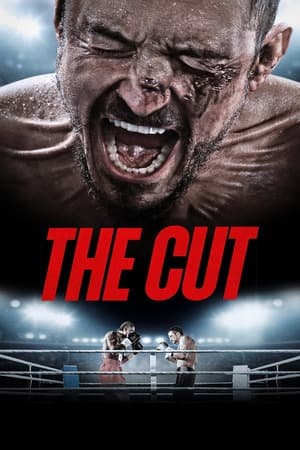 The Cut (2024) 1080p | 720p | 480p WEB-HDRip [Hindi + English (DD5.1)]