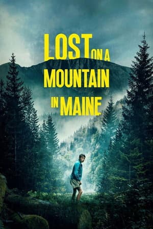 Lost on a Mountain in Maine (2025) 1080p | 720p | 480p WEB-HDRip [Hindi + English (DD5.1)]