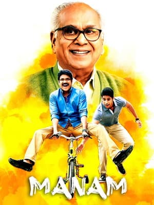 Manam (2014) 1080p | 720p | 480p BluRay [Hindi + Telugu (DD2.0)]