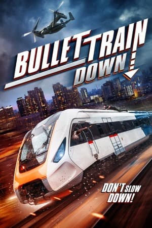 Bullet Train Down (2022) 1080p | 720p | 480p BluRay [Hindi + English (DD5.1)]