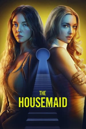 The Housemaid (2025) 1080p | 720p | 480p WEB-HDRip [English (DD2.0)]