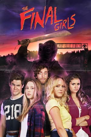 The Final Girls (2015) 1080p | 720p | 480p BluRay [Hindi + English (DD5.1)]
