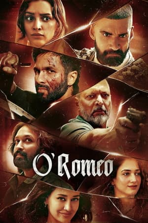O Romeo (2026) 1080p | 720p | 480p HDTC [Hindi (DD2.0)]