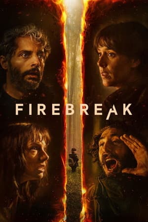 Firebreak (2026) 1080p | 720p | 480p WEB-HDRip [Hindi ORG + Multi Audio (DD5.1)]