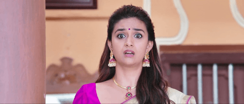 Annaatthe (2021) 1080p | 720p | 480p WEB-HDRip [Hindi]