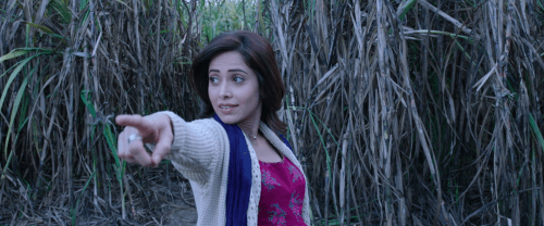 Chhorii (2021) 1080p | 720p | 480p WEB-HDRip [Hindi]