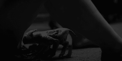 Feria: The Darkest Light – Season 1 (2022) WEB-HDRip [EP 1 to 8] [Hindi ORG (DD 5.1) + English]