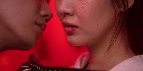 Love and Leashes (2022) 1080p | 720p | 480p WEB-HDRip [Hindi (DD5.1) + English]