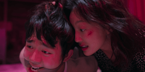 Love and Leashes (2022) 1080p | 720p | 480p WEB-HDRip [Hindi (DD5.1) + English]