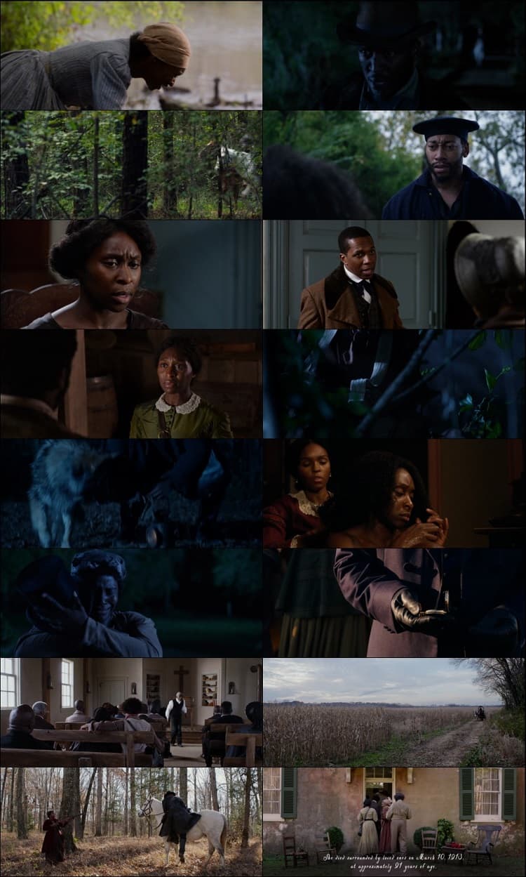 Harriet (2019) 1080p | 720p | 480p BluRay [Hindi ORG (DD 2.0) + English]