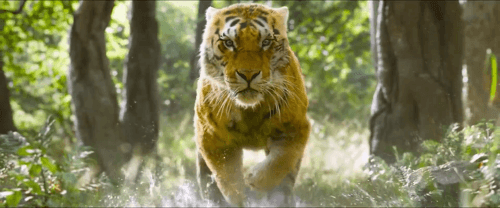 RRR (2022) 1080p | 720p | 480p HDRip [Hindi (HQ-Clean)]