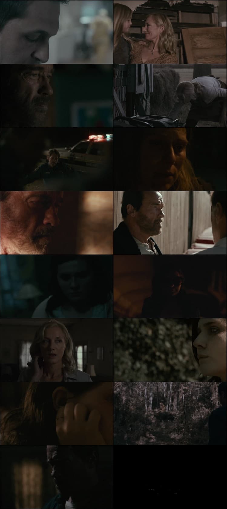 Maggie (2015) 1080p | 720p | 480p BluRay [Hindi + English]