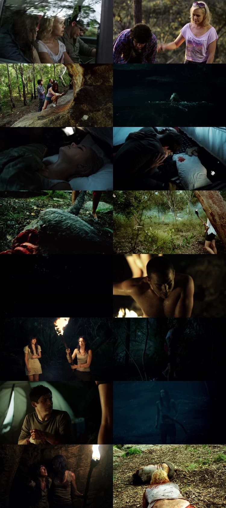 Primal (2010) 720p | 480p BluRay [Hindi ORG (DD 2.0) + English]