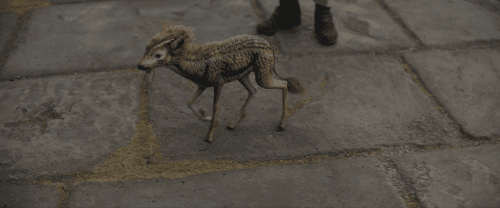 Fantastic Beasts 3 (2022) 1080p | 720p | 480p WEB-HDRip [Hindi ORG (DD 5.1) + English]