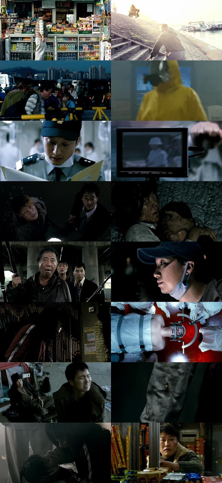 The Host (2006) 1080p | 720p | 480p BluRay [Hindi ORG (DD 2.0) + Korean]