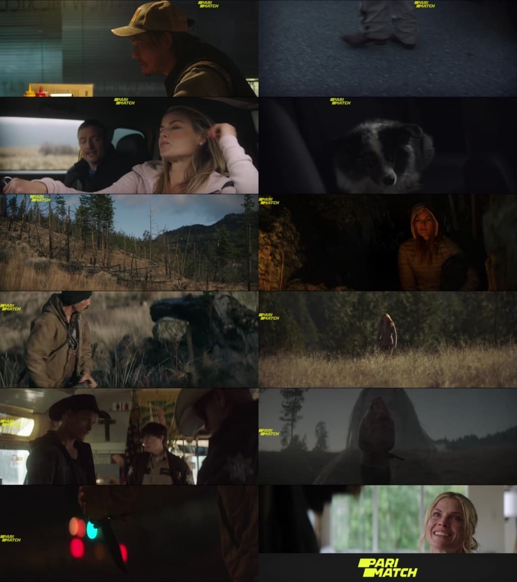 The Last Victim (2022) 720p WEB-HDRip [Telugu (Voice Over) + English]